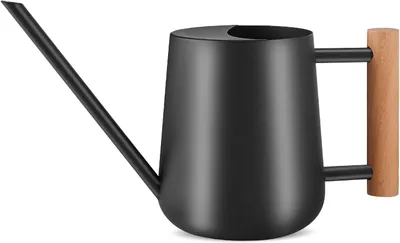 Produktbild von Gießkanne 1L 35oz Gießkanne, Edelstahl Metall Mini Kleine 1000ml Gießkanne mit langem Ausguss und Holzgriff für Zimmerpflanzen, Bonsai, Gartenblumen i
