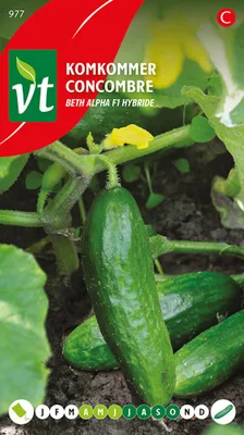 Produktbild von Salatgurke Mini Beth Alpha F1 Samen - Ca. 1 gr | VT_977