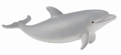 Immagine prodotto di COLLECTA Tursiope