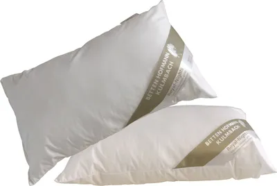 Produktbild von 2 Stück Hofmanns Franken Kissen Kopfkissen Nackenkissen 30x50 waschbar 170 g
