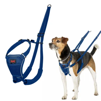 Zdjęcie produktu dla Hundegeschirr Company of Animals Blue 20