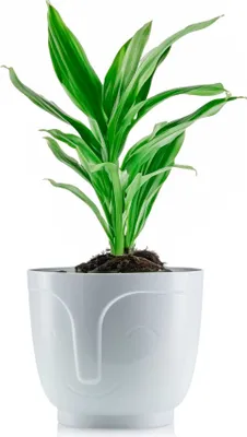 Immagine prodotto di HowHomely vaso da fiori Zoe 14 cm di altezza, vaso per piante, fioriera bianca per giardino balcone