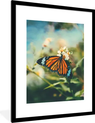 Produktbild von MuchoWow® Gerahmtes Poster Schmetterling - Blumen - Garten 60x80 cm - Poster mit Schwarzem Bilderrahmen Wandposter Rahmen Foto Bilder - Wohnzimmer - Dekorationen - Prämie