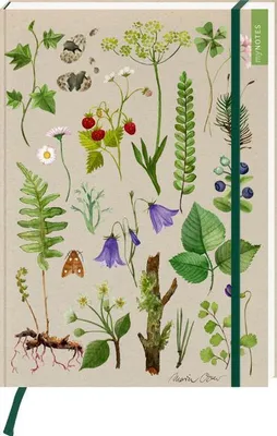 Produktbild von myNOTES Papeterie: Notizbuch A4 Naturschätze
