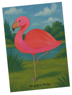 Produktbild von Mr. & Mrs. Panda Postkarte Flamingo Classic Design - Weiß - Geschenk, Fotokarte, Selbstliebe, Ansichtskarten, Ich, Rosa, Stolz, Ansichtskarte, Grußkarte, Prächtig, Spruch