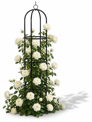 Produktbild von Pflanzenständer Metall Rankhilfe Rankgitter Obelisk Spalier H190cm