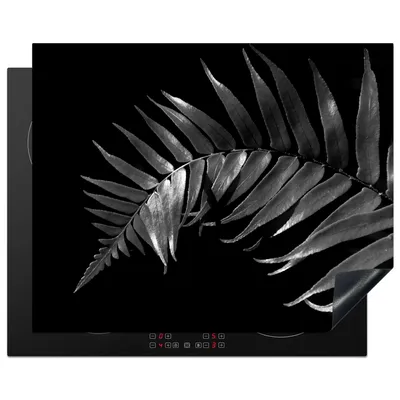 Produktbild von KitchenYeah© Herdabdeckplatte Nahaufnahme eines Farnblatts vor schwarzem Hintergrund - schwarz und weiß , 65x52cm, Küche Deko, Glaskeramikkochfeld Herdabdeckung, Abdeckplatte fùr Kochfeld