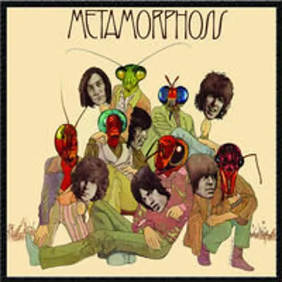 Imagen del producto de Metamorfosis