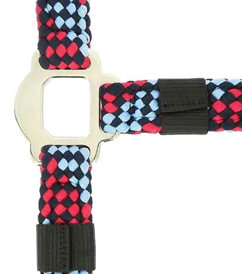 Produktbild von EQUITHÉME Tresse Halfter und Führstrick Pony in vielen Farben, Farbe:beige/schokobraun/schwarz, Größe:Ponygröße