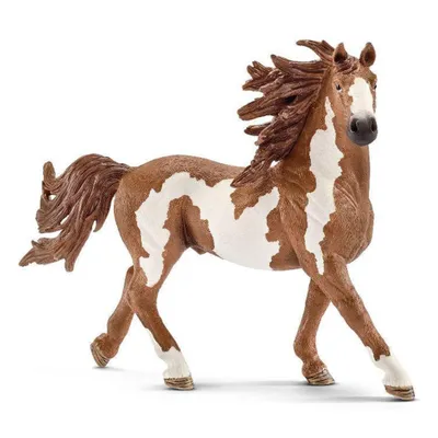 Produktbild von Schleich - Tierfiguren, Pinto Hengst; 13794