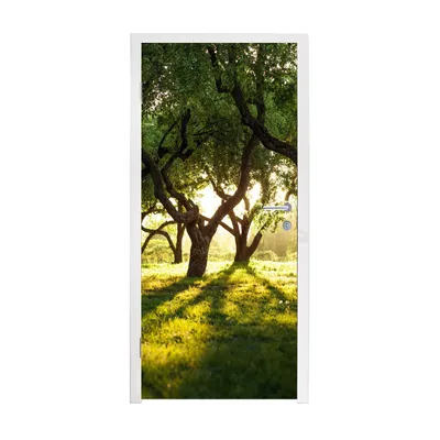 Obrázek produktu pro MuchoWow® Plakát na dveře - Stromy - Příroda - Slunce - 215x90 cm - Samolepicí fólie na dveře