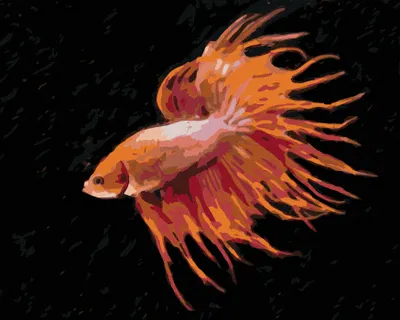 Produktbild von Zuty - Malen nach Zahlen - ROTER FISCH, 40x50 cm, mit Keilrahmen (bereits gespannt)