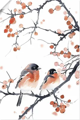 Produktbild von ARTland Poster Aquarell Gimpel Größe: 20x30 cm