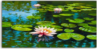 Produktbild von Coloray Acrylbild 100x50  Wandbild Acrylbilder Foto Moderne Kunst Schöne Seerosen