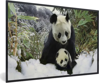 Produktbild von MuchoWow® Gerahmtes Poster Panda - Jungtier - Schnee 90x60 cm - Poster mit Schwarzem Bilderrahmen Wandposter Rahmen Foto Bilder - Fotorahmen - Foto-Plakat