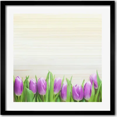 Produktbild von Bild - 50 cm x 50 cm - MDF - Rahmen, Wandkunst - Lila Tulpen