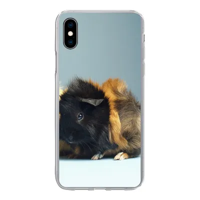 Produktbild von MuchoWow® Handyhülle Schutzhülle Hülle für iPhone Xs Zwei kleine Meerschweinchen Silikon Softcase Handy Hülle - Handytasche