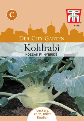 Artikelbild 2 von 'Kohlrabi Kossa F1-Hybride' aus der Kategorie Kohlrabisamen