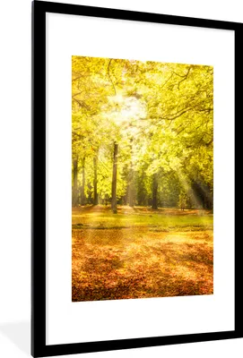 Produktbild von MuchoWow® Gerahmtes Poster Baum - Natur - Sonne - Landschaft - Wald 60x90 cm - Poster mit Schwarzem Bilderrahmen Wandposter Rahmen Foto Bilder - Dekoration - Wandposter Wohnzimmer - Hochwertig