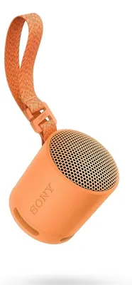 Obrázek produktu pro Sony SRS-XB100, Bezdrátový, A2DP, HFP, AAC, AVRCP, SBC, USB typu C, Přenosný mono reproduktor, Oranžová, Válec