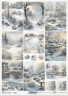 Immagine prodotto di ITD carta di riso decoupage tecnica artigianale tovagliolo di carta-R2560 Uccelli del giardino d'inverno