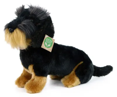 Image de Tassoude à poil dur en peluche, assis, 30 cm, ÉCOLOGIQUE