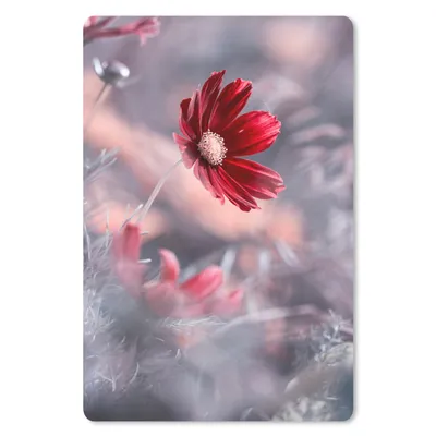 Produktbild von MuchoWow® Mauspad Mousepad Blumen - Rot - Natur - Pflanzen 18x27 cm - Mousepads - Maus Mat - Pad - Mausunterlage