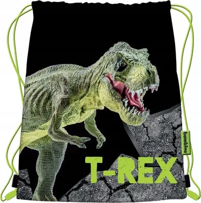 Immagine prodotto di Borsa per scarpe Dino T-Rex Bambino Majewski