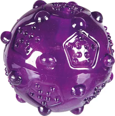 Produktbild von Trixie Ballspielzeug Ø 7 Cm Lila  Lila One Size