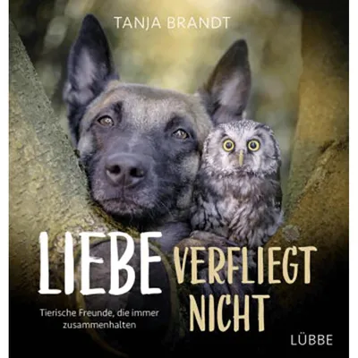 Immagine prodotto di Brandt, T: Liebe verfliegt nicht