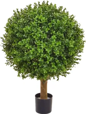 Produktbild von aplanta Künstliche Buchsbaumkugel - Theodor | 50 cm, UV-beständig, für draußen, Kunstbaum, wie echt, Allergiker geeignet, pflanzliche Dekoration Praxis, Office & Wohnzimmer