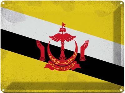 Produktbild von vianmo Blechschild 30x40 cm Brunei Flagge Fahne Wappen