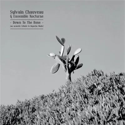 Zdjęcie produktu dla Chauveau,Sylvain & Ensemble Nocturne-Down To The B