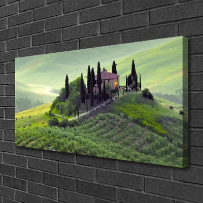 Produktbild von Tulup Leinwand-Bilder 100x50 Wandbild Canvas Kunstdruck Wiese Bäume Natur