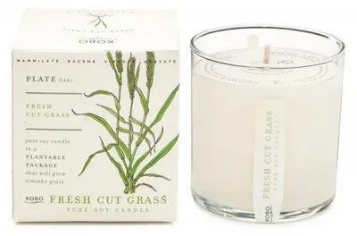 Produktbild von KOBO Duftkerze "Plant the Box Fresh Cut Grass" (10 oz / 283 g)
