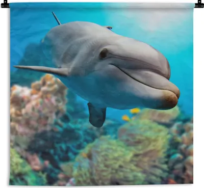 Produktbild von MuchoWow® Wandteppich Wandbehang Delfin - Meer - Koralle 120x120 cm Tapisserie Dekoration Wandtuch - Modern - Baumwollgewebe