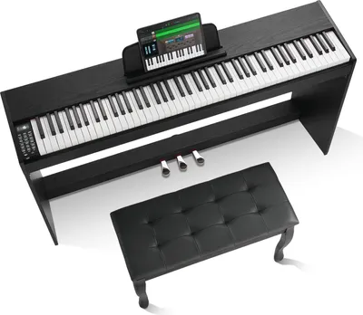 Produktbild von SucceBuy gewichtetes Digitalpiano, 88 vollgewichtete Tasten, Doppeltastatur und Lautsprecher mit Gehäusehalterung, Doppelbank, Kopfhörer, 200 Töne und Rhythmen, unterstützt Bluetooth/USB/MIDI