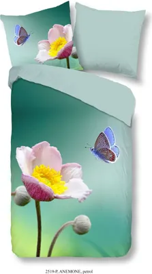 Produktbild von good morning Renforcé Bettwäsche 2 teilig Bettbezug 135 x 200 cm Kopfkissenbezug 80 x 80 cm Anemone 2519.68.08 Petrol