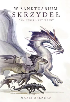 Image de ISBN W Sanktuarium Skrzydeł, Polski, Broszurowa okładka, 354 stron(y)