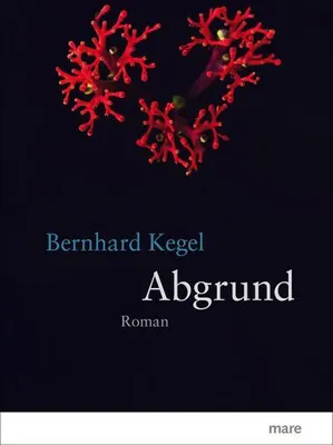 Produktbild von Abgrund