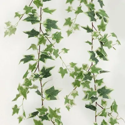 Image de Lierres artificiels, lot de 2, chatons décoratifs en faux lierre, fleurs de lierre artificielles retombantes, fausses plantes d'intérieur pour la cuisine, les mariages, le jardin, la décoration murale et les décorations de Noël (blanc-vert)