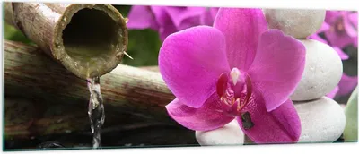 Produktbild von Bilder auf glas - Orchidee Bambus Dekoration Spa - 140x50cm - Glasbilder - Wandbilder - Kunstdruck - zum Aufhängen bereit - Wanddekoration aus Glas - Glas Bilder - Wandbild auf Glas - GAB140x50-2666