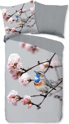 Produktbild von Duvet cover Pure 135x200 + 1* 80x80 cm - bluethroat bird