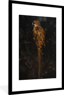 Produktbild von MuchoWow® MuchoWow® Gerahmtes Poster Papagei - Vogel - Foto 60x90 cm - Poster mit zchwarzem Bilderrahmen - Dekoration - Wandposter Wohnzimmer - Hochwertig