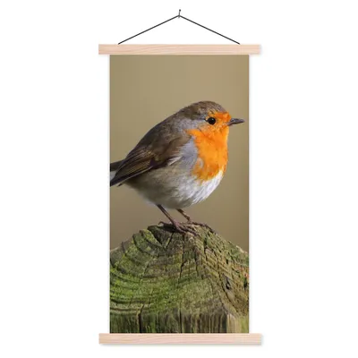 Produktbild von MuchoWow® Textilposter Vogel - Rotkehlchen - Holz 60x120 cm mit holzfarbenen Rahmen - Holz