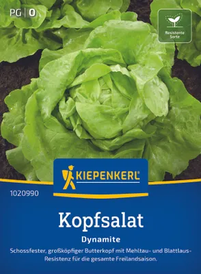 Produktbild von Kiepenkerl Kopfsalatsamen Dynamite Lactuca sativa 150 Pflanzen
