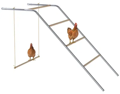 Produktbild von Hühner Spielgerüst aus Holz, Spielplatz für Hühnern mit Hühnerstangen, verstellbar Schaukel, 82 x 150 x 110 cm Silber