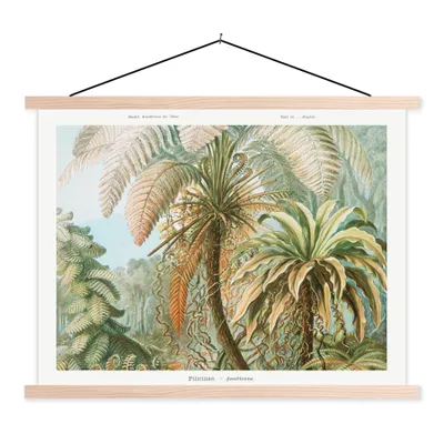 Produktbild von MuchoWow® Textilposter Vintage - Alte Meister - Farne - Pflanzen - Natur 40x30 cm mit holzfarbenen Rahmen - Bilder