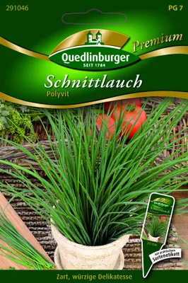 Produktbild von Schnittlauch 'Polyvit' Quedlinburger Kräutersamen