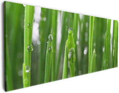 Produktbild von Wallario Premium Leinwandbild Wassertropfen an Grashalmen in Größe 80 x 200 cm